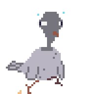 Pigeon New